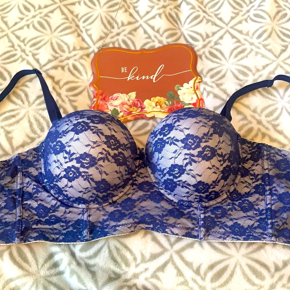 NWOT! Lace Blue Bustier Bra!